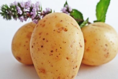 A tale of potatoes and broken hearts frustrated