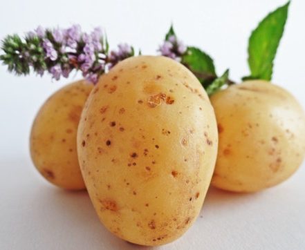 A tale of potatoes and broken hearts frustrated