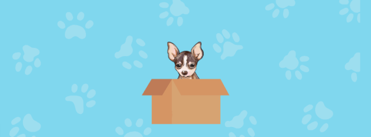 My ugly doggie Mi perrito feito