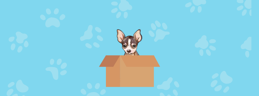 My ugly doggie Mi perrito feito