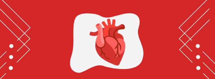 Undivided heart Corazón no dividido